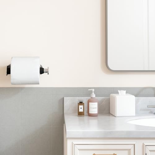 Stainless Steel Toilet Paper Holder Silver