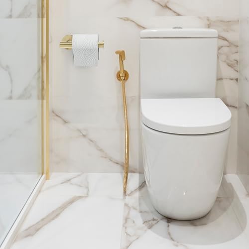 brushed Gold Toilet Paper Holder Wall Mount Premium Stainless Steel Anti-Rust Holder