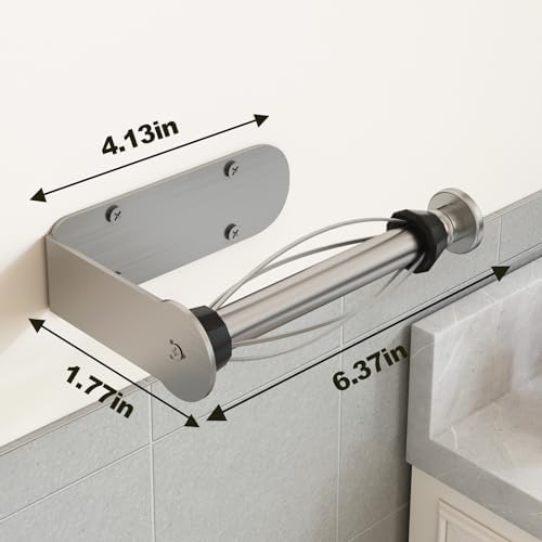 Stainless Steel Toilet Paper Holder Silver