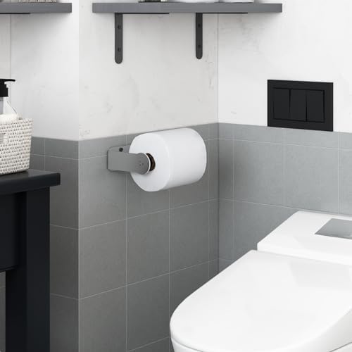Stainless Steel Toilet Paper Holder Silver