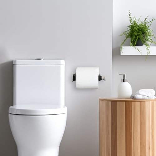 Stainless Steel Toilet Paper Holder Silver
